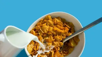 Fresh Findings On Ultra-Processed Foods Could Influence Future Nutrition Advice