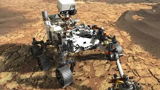 The Cameras May Find Planets Only If the Spacecraft Controls Its Own Interference