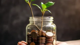 Young Investors Can Build Resilient Portfolios By Reinvesting Sovereign Gold Bond Redemption Cash