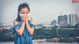 Delhi Government to Install Air Purifiers in Government Schools Amid Pollution Crisis