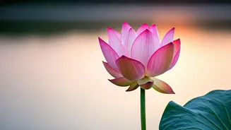 Related Stories banner