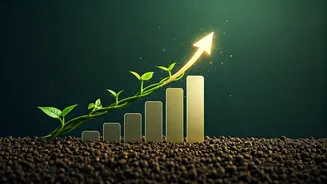 Young India Is Building Stronger Credit