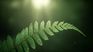 Breathwork Helps Fitness Goals Last Longer
