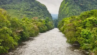 Avoid Canyon Hazards: How To Assess Meghalaya River Currents During Heavy Monsoon Rains