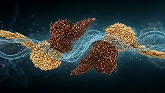 Beyond Protein: Unlocking Peak Health with Essential Carbohydrates