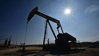 Russian crude price touches 13-year high: Here we decode why