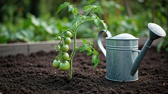 June Gardening Is Basically Plant Parent Exam Season