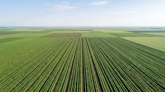 How Satellites Can Help Farmers Monitor Plant Growth