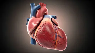 Heart Attacks in Young Adults: Risks and Prevention