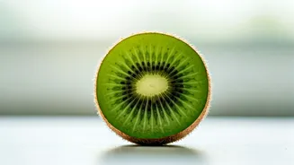 The Kiwi Secret: 15 Years of Research Confirms This Fruit's Power Against Chronic Constipation