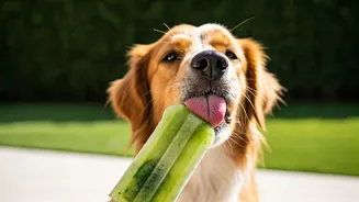 DIY Frozen Cucumber Mint Popsicles Are Ultimate Summer Pet Treats