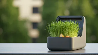 Small Compost Bins, Big Environmental Impact