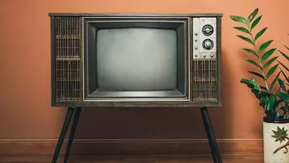 Tracing The Rise Of Digital Web Originals In Indian Homes Replacing Traditional TV Soaps