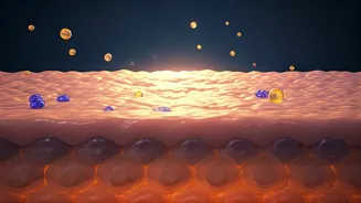 Experts Explain Why Skin Barrier Matters