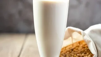 Protein-Focused Dairy Is Reshaping The Next Phase Of India’s Everyday Nutrition Market