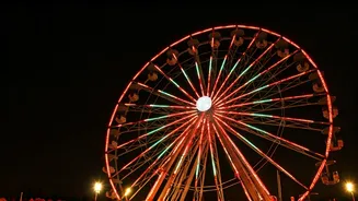 Delhi-NCR Weekend Fun: Top Things to Do (Dec 20-21)