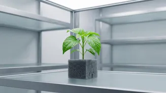 Plant Immunity Becomes a Design Problem for Artificial Intelligence