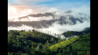 Monsoon onset countdown: Kerala 6 days away, the earliest arrival in 17 years