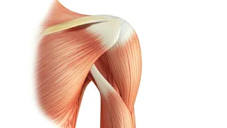 Seniors: How to Keep Your Shoulders Healthy