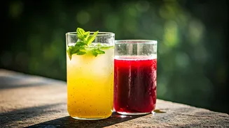 Desi Coolers Make Summer Wellness Feel Familiar