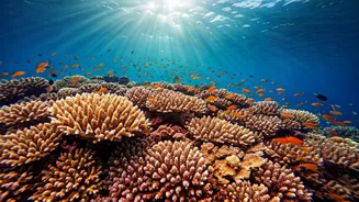 Caribbean Bliss: Perfect Timing for Your Dream Trip!