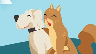 Shared Skills Do Not Mean Every Dog Communicates in the Same Way