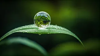 Unlock Well-being: 5 Japanese Mindsets for a Healthier You in 2026