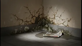 Waterproofing Problems Can Begin with One Permanently Damp Corner