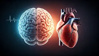 Beyond the Snore: Unmasking Sleep Apnea's Hidden Dangers to Your Heart and Brain