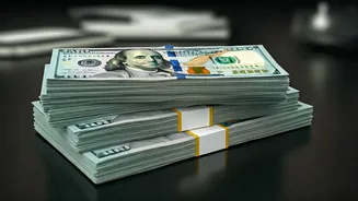 US Comedian's Hilarious Take on H1-B Visas: A Spoof!