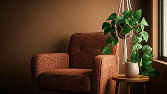 Decor Feeds Adore Cozy Reading Zones Styled With Devil's Ivy