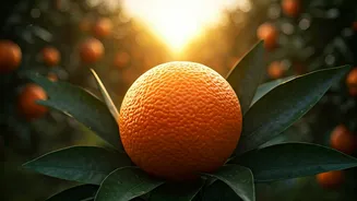 Related Stories banner