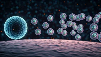 Cancer Vaccine: A Giant Leap in Medical Science