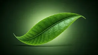 Related Stories banner