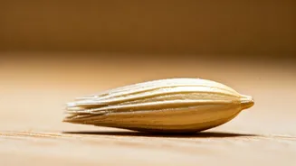 Oats' Daily Impact: A 30-Day Health Journey