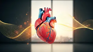 Morning Workouts: Unlocking Superior Heart Health Benefits