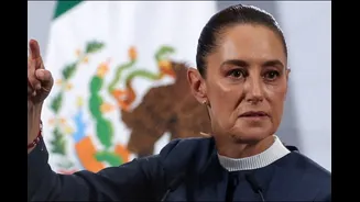 Mexico President To Sue Groping Assailant