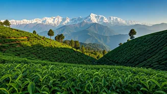 Temperature-Friendly Holidays Are India’s Summer Flex