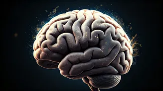 Unlock Youthful Living: Arts and Culture's Surprising Role in Slowing Biological Aging