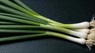 Spring Onion Delights: 10 Dishes to Savor!