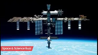 Science & Space Roundup: Top News of the Day (Nov 5)