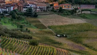 Tuscany Road Trip: Links Florence, Siena And Scenic Countryside Stops And Can Combine Art, Hill Towns And Vineyards In One Route