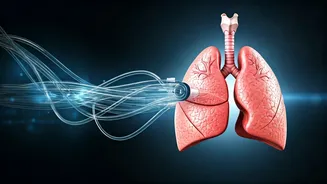 Boost Fitness: Oxygen & Exercise Power!