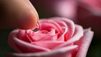 5 Small Acts That Loudly Declare Your Love: Beyond Grand Gestures