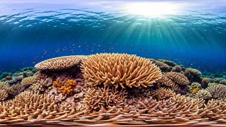 Belize Beckons: Your Ultimate Travel Guide