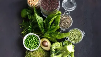Protein and Plants Can Lead the Plate Without Excluding Carbohydrates