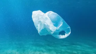 Why Rice Husk Bio-Char Is Becoming A Game-Changer For Microplastic Water Filters