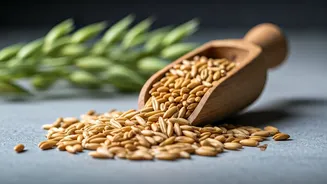 Oatstanding Truths: Debunking Common Myths About Your Favorite Breakfast Grain