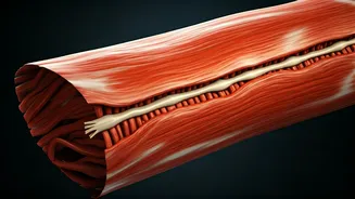 Unlocking Muscle Growth: A Guide to Consistent Gains