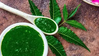 Why Neem Oil And Soapy Water Offer The Best Natural Pest Control For Home Gardens